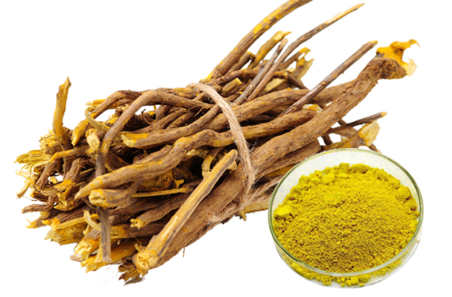How long does it take to start losing weight on berberine.png